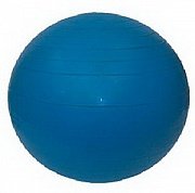 Мяч гимнастический   Housefit 55 см с насосом 89913