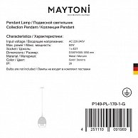 Светильник Maytoni P140-PL-170-1-G