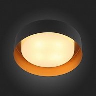 Потолочный светильник ST-Luce SL392.422.04