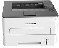 Принтеры Pantum P3010DW белый, серый (218679)