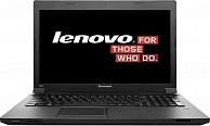 Ноутбук Lenovo IdeaPad B590 (59366082)