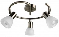 Спот Arte Lamp A5062PL-3AB