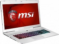 Ноутбук MSI GS70 2QE-420RU Stealth Pro Silver Edition
