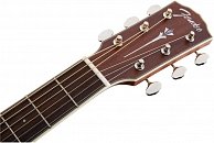 Гитара акустическая Fender PM-1 Dread All-Mah w/case OV