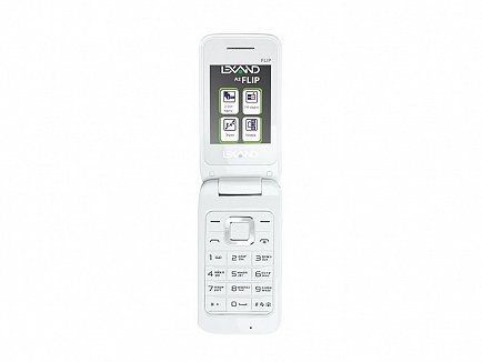 Мобильный телефон Lexand A2 White