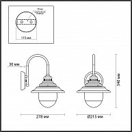 Светильник Odeon Light Kalpi 4836/1W (ODL21 569)