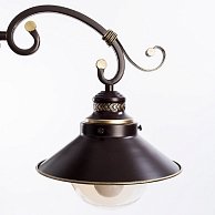 Светильник Arte Lamp A4577PL-3CK