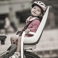 Детское велокресло  Hamax 2019 Caress With Lockable Bracket / HAM553006 (серый/фиолетовый)