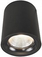 Точечный светильник Arte Lamp A5118PL-1BK