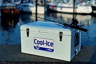 Изотермический контейнер  Waeco Icebox WCI-42