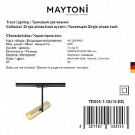 Светильник Maytoni TR005-1-GU10-BG