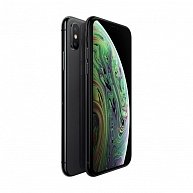 Смартфон Apple iPhone XS (64GB) (Space Grey)