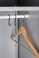 Гардеробный шкаф Практик LS(LE)-31