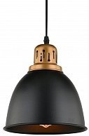 Светильник Arte Lamp A4245SP-1BK