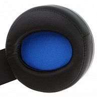 Наушники с микрофоном  Sony  PS4 [CECHYA-0090]  черный/платина