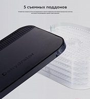 Сушилка для овощей и фруктов BQ FD-1000