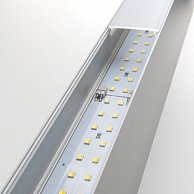 Светильник Elektrostandard 101-100-40-53 4200К матовое серебро
