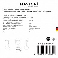 Светильник Maytoni TR018-2-10W4K-W