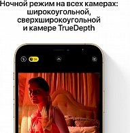 Смартфон Apple iPhone 12 Pro Max 256GB Gold, Grade B, 2BMGDE3, Б/У MGDE3RM/A