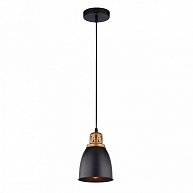 Светильник Arte Lamp Eurica A4248SP-1BK