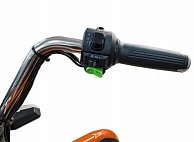 Электротрицикл Smart8 грузовой BULBASH BISON Сине-красный