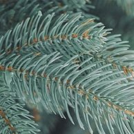 Ель искусственная Бифорес Красавица голубая 1.3м