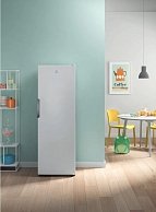 Морозильник Indesit DFZ 5175 S