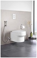 Гигиенический душ Grohe Tempesta-F Trigger Spray 30 27512001 хром