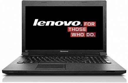 Ноутбук Lenovo B590 (59382014)