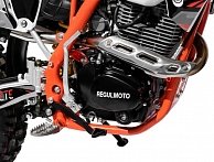 Мотоцикл кроссовый Regulmoto  ATHLETE 250 21/18