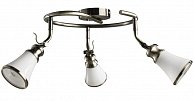 Спот  Arte Lamp Vento A9231PL-3AB