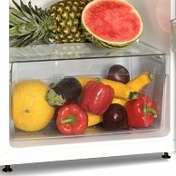 Холодильник-морозильник Snaige FR24SM-PRR50E