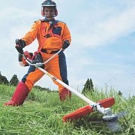 Триммер бензиновый Hitachi  CG31EBS