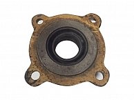 Крышка задняя ВОМа КМ 380-385 Rossel